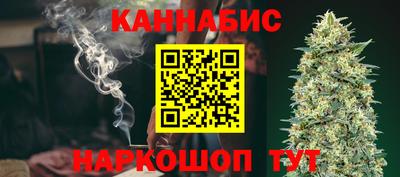 гидра Новозыбков