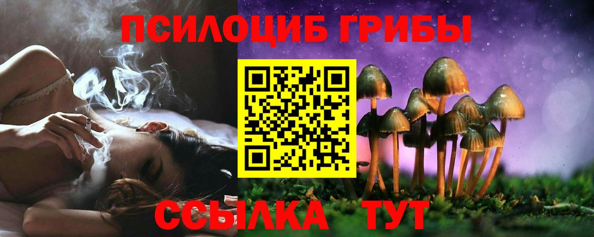 Псилоцибиновые грибы Psilocybine cubensis Гагарин