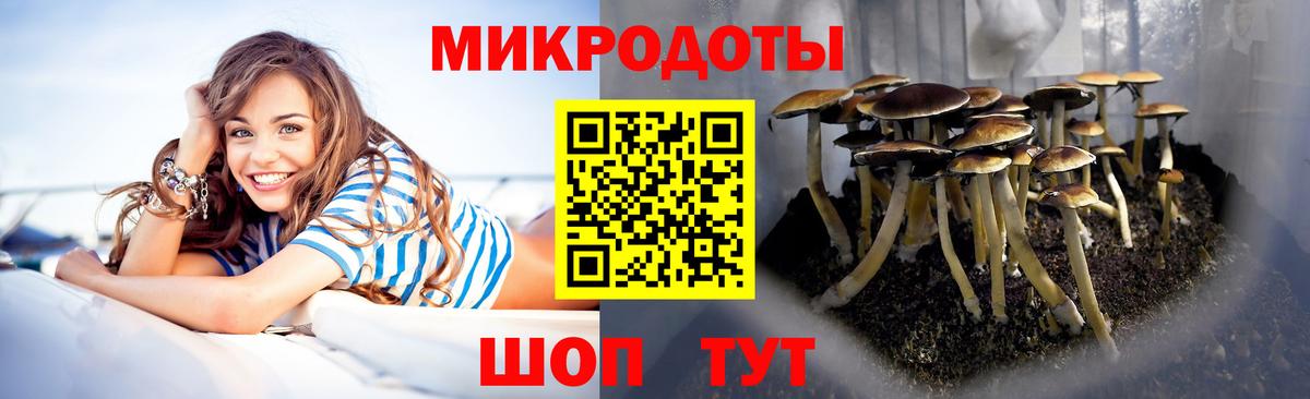 Галлюциногенные грибы ЛСД  Вход с VPN  Гагарин 